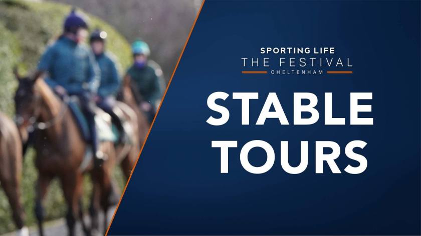 Gordon Elliott Cheltenham Festival stable tour | Part one